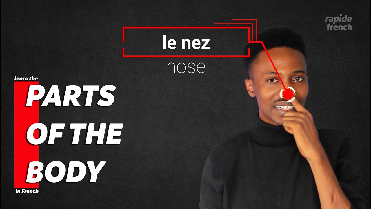 Parts of the body in French
