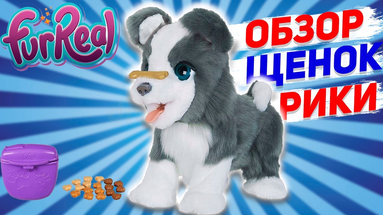 Обзор интерактивного щенка Рики | Ricky FurReal Friends от Hasbro