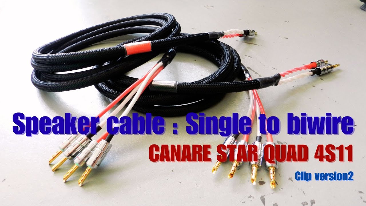 Speaker cable single to biwire  Canare star quad 4S11