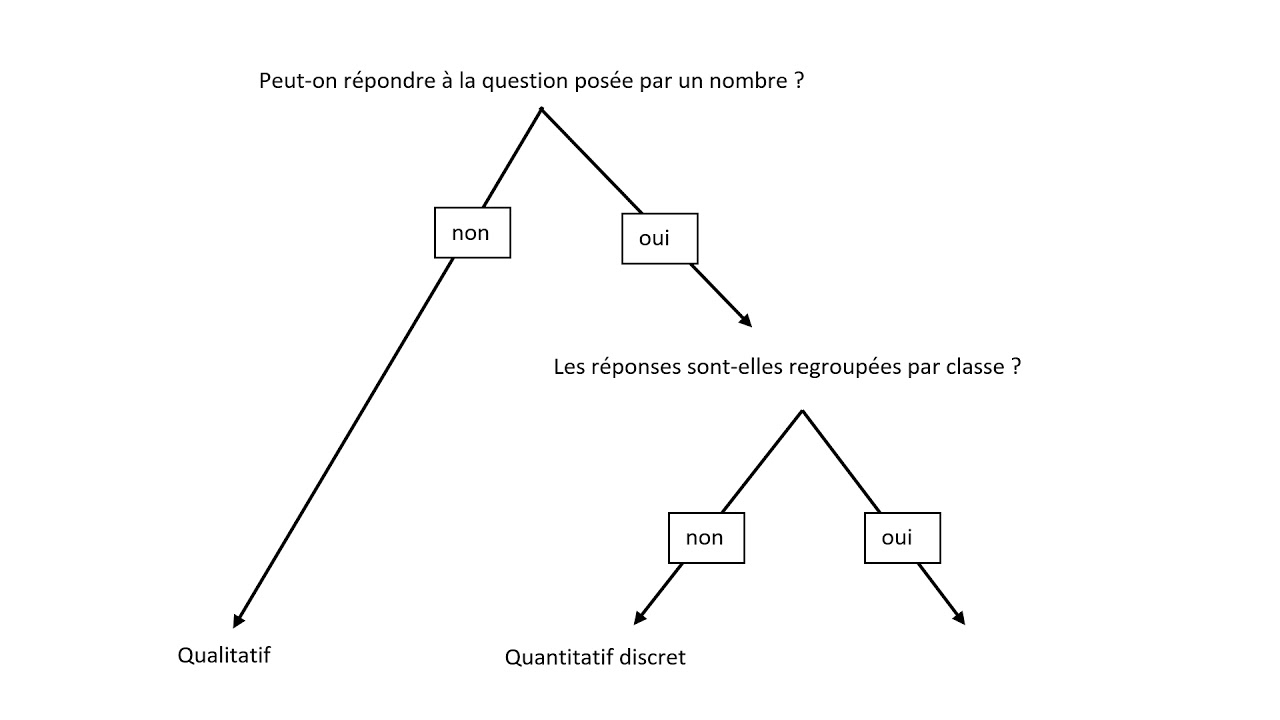Comment déterminer la nature (quantitatif ou qualitatif) d'un caractère statistique ?