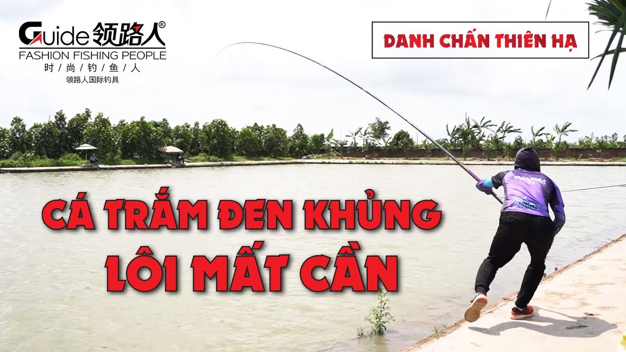 Trắm Đen Khủng Kéo Mất Cần Danh Chấn Thiên Hạ | Hồ Dịch Vụ Tại Thái Bình