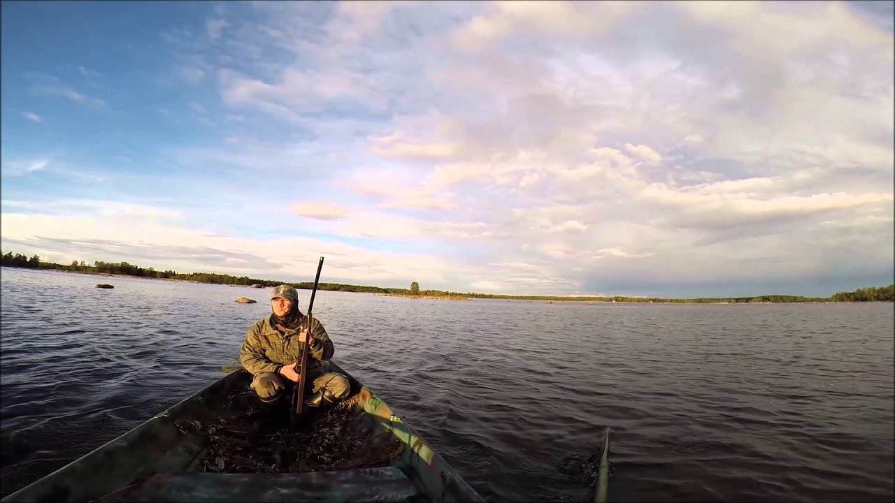 Hanhen mets&auml;styst&auml; / Goose hunting