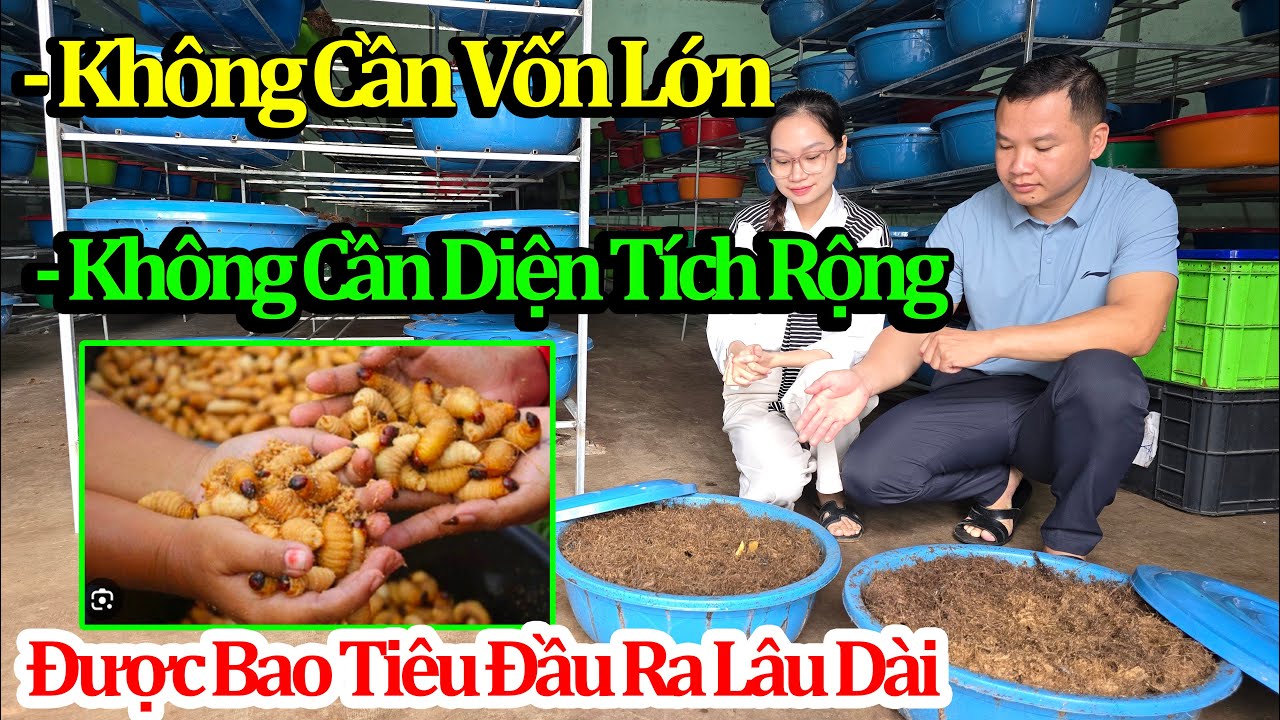 Chăn Nuôi Đột Phá Tại Tây Nguyên/ Vốn Ít - Thu Lời Nhanh/ Hỗ Trợ Toàn Phần Giúp Bà Con Chăn Nuôi