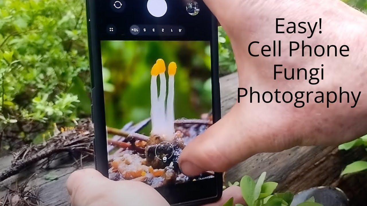 Cell Phone Fungi Photography