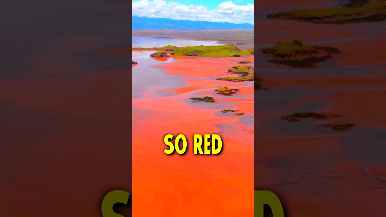 This Lake is Red