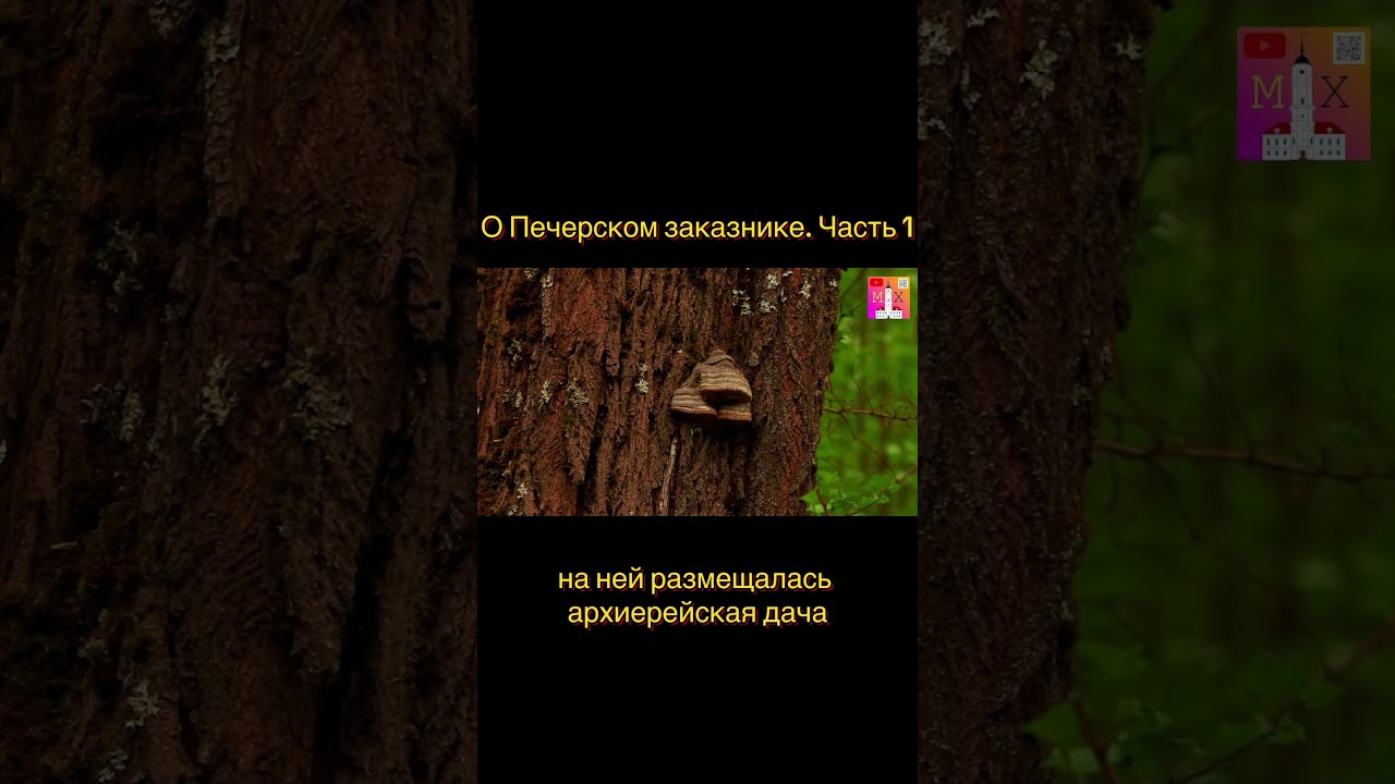 #belarus #история #mogilev #могилевскиехроники #беларусь #природа #nature #wild #сохранение
