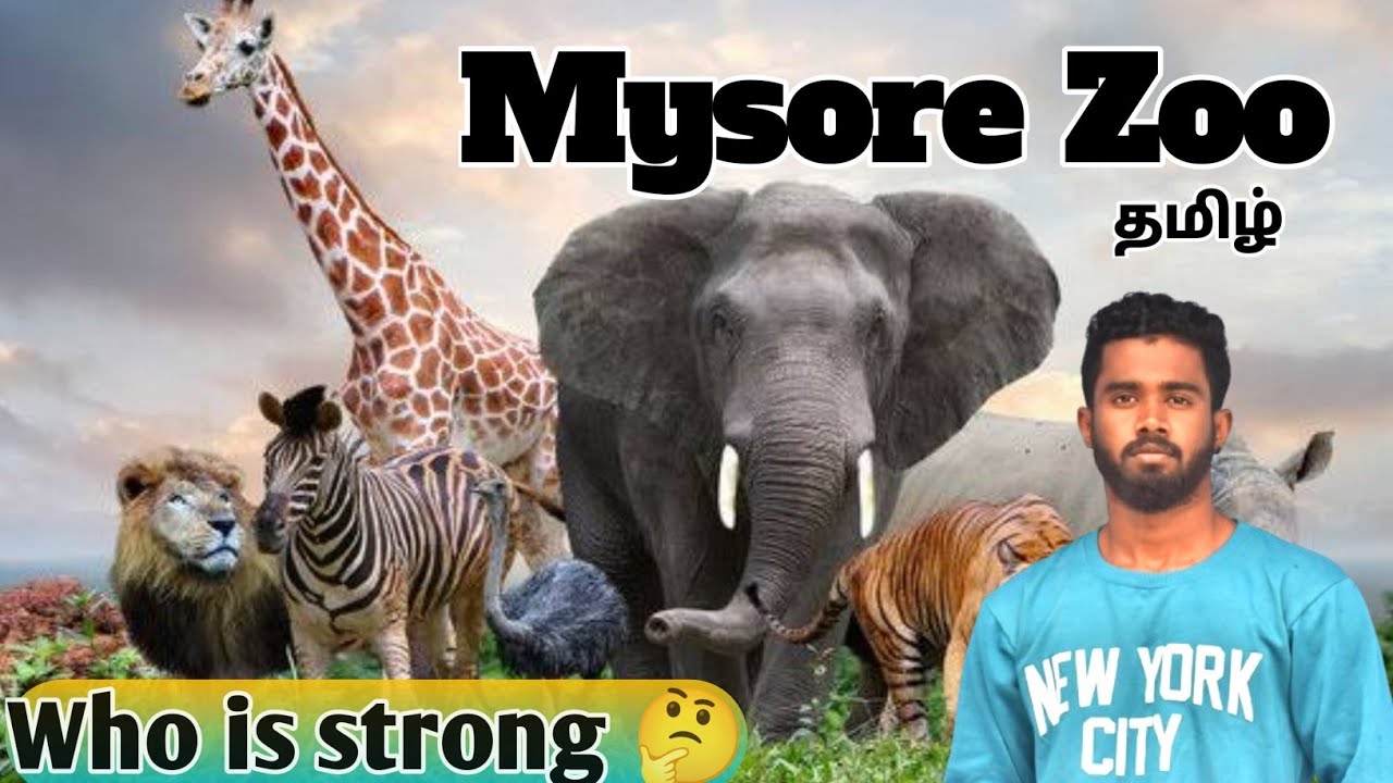 Mysore Zoo tour in tamil/ Karnataka/ tourism/#vlog #animals #zoo #travel