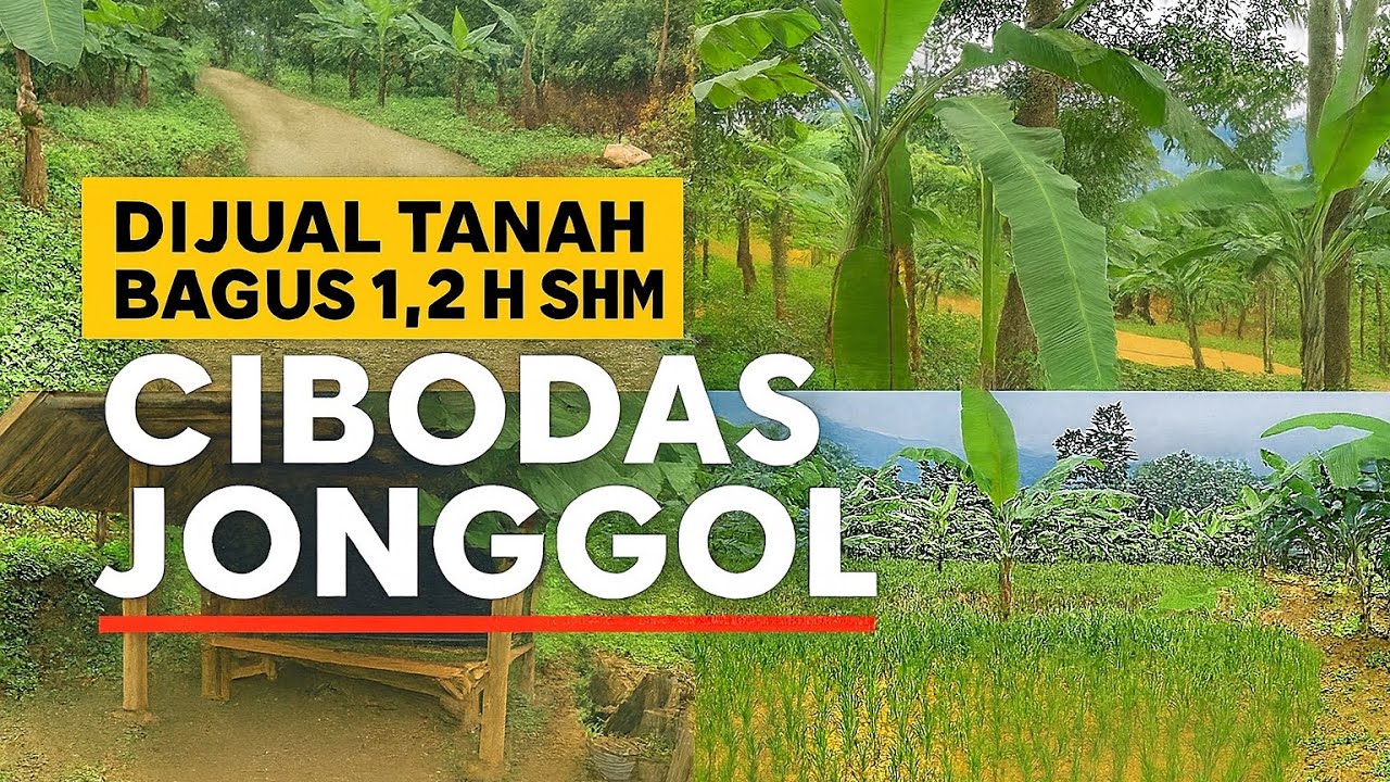 DIJUAL TANAH 1,2 HA SHM – DARAT & SAWAH – CIBODAS JONGGOL BOGOR TIMUR