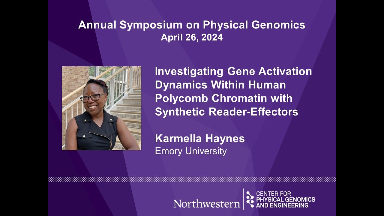 Investigating Gene Activation Dynamics in Human Polycomb Chromatin with Synthetic Reader-Effectors
