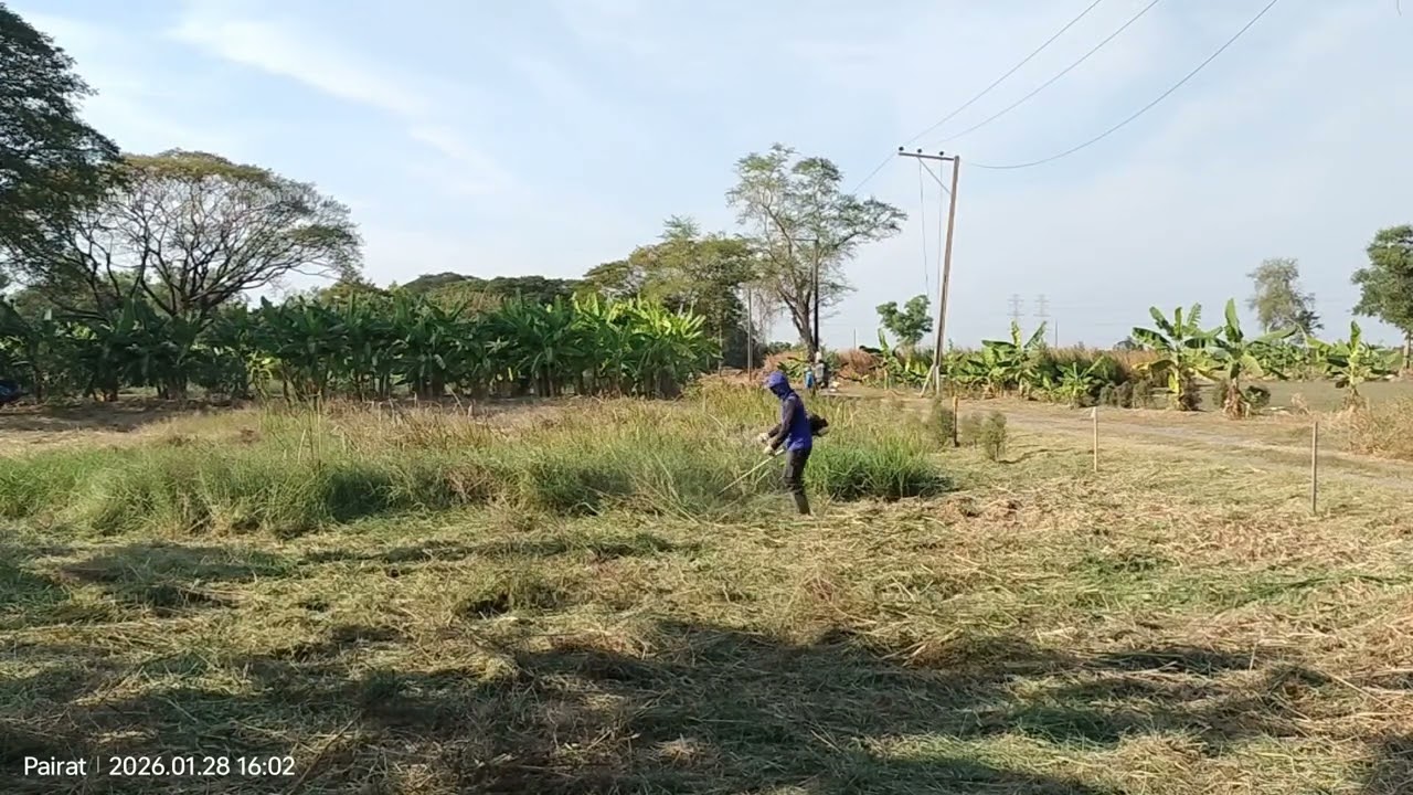 ปฏิบัติการพิเศษ ฝูงบินต่ำ กองบินบ้านสวนพอเพียง