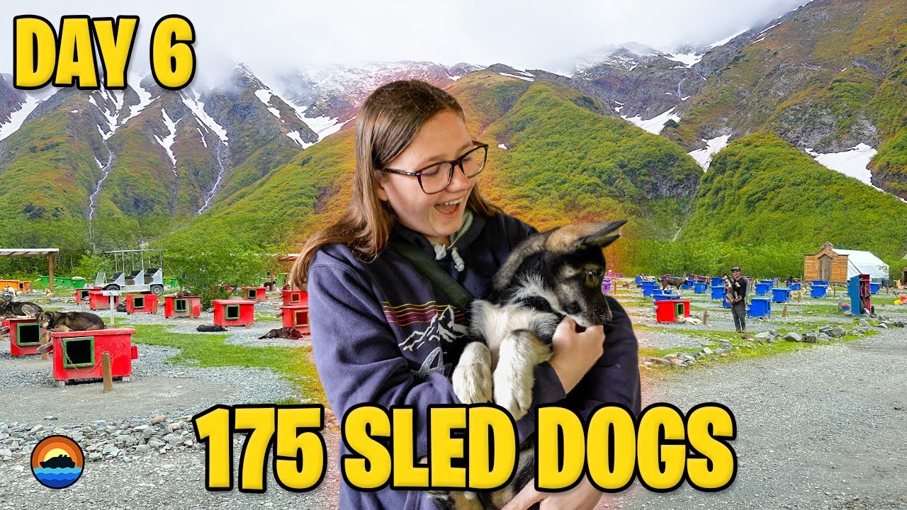Worth A Visit: Juneau DOG SLED SUMMER CAMP | Quantum Of The Seas 2023 | Royal Caribbean Alaska Vlog6