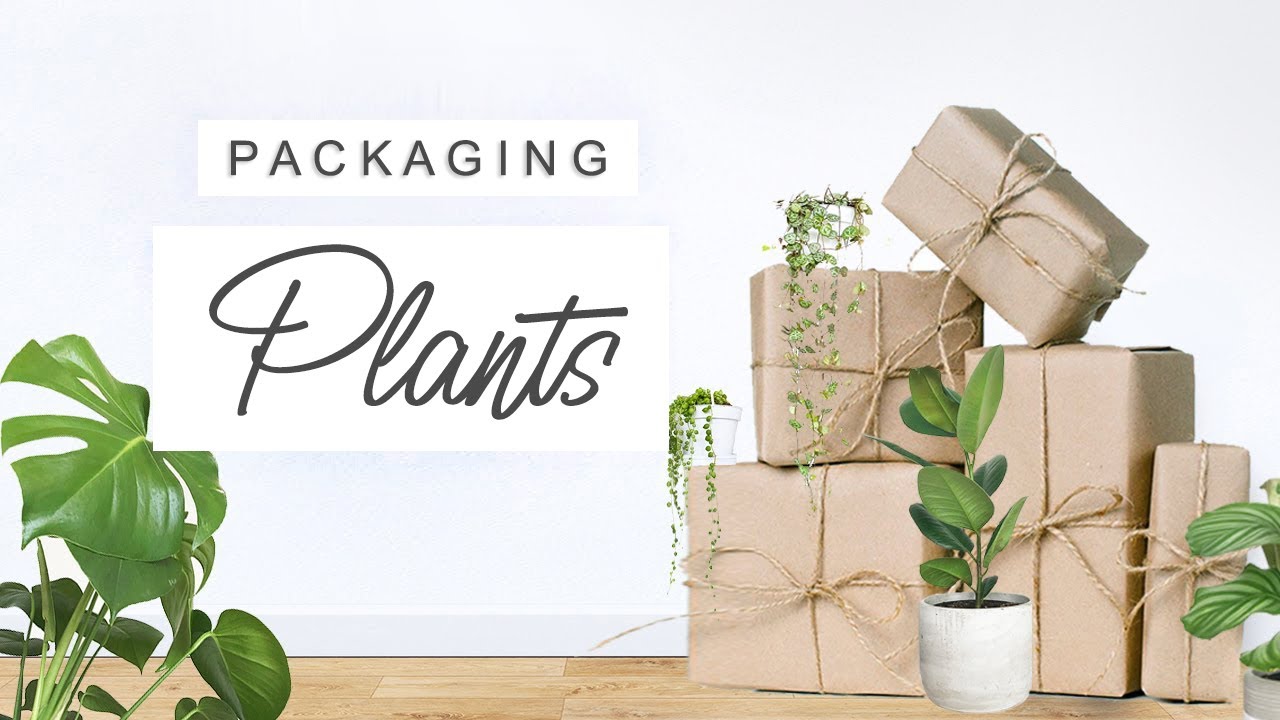 How To Package Plants For Shipping + Gifting 🌿 HOW TO SHIP PLANTS 🌱 Packing Plants For Shipping