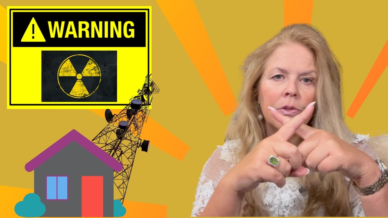 How Healthy Is Your Home?| EMF PROTECTION|TOXIC ENERGIES | Lisa Benitz