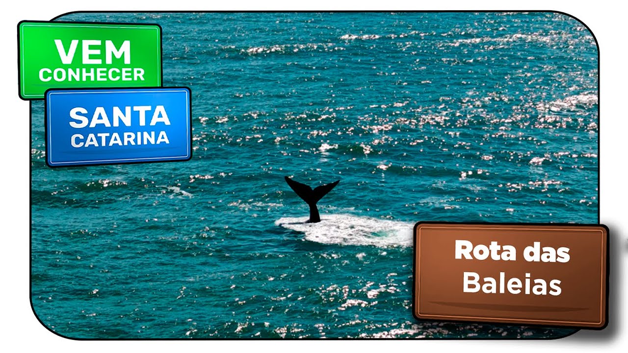 Rota das Baleias - Vem Conhecer SC