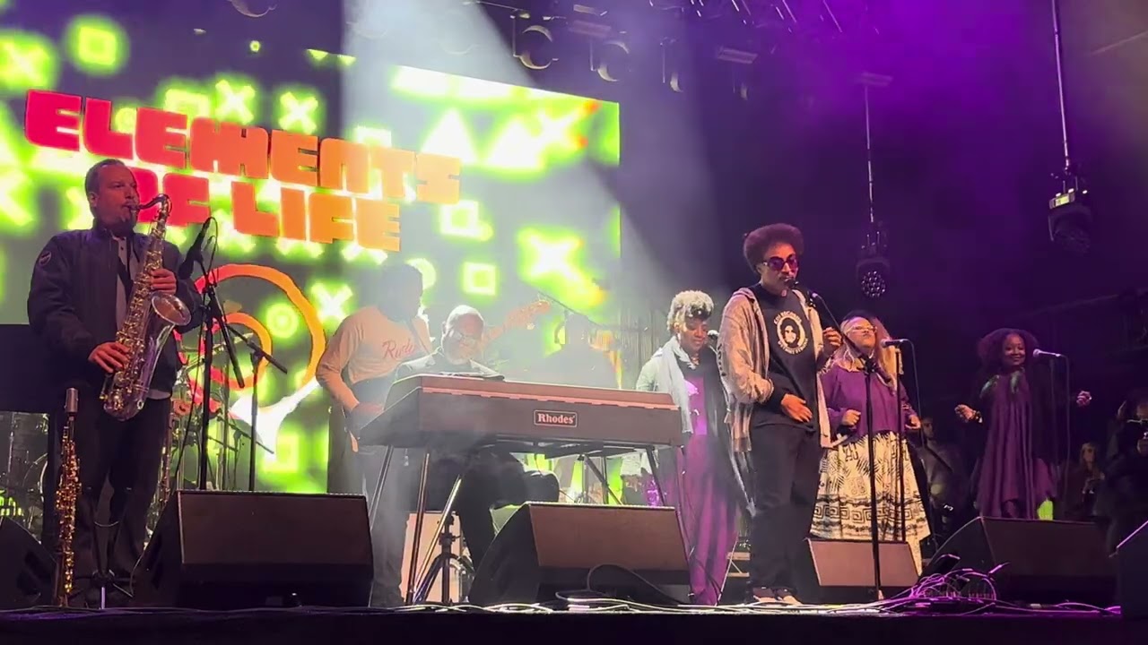 Louie Vega elements of life live with Moodymann- seven mile and Brian Jackson from We out here 2024