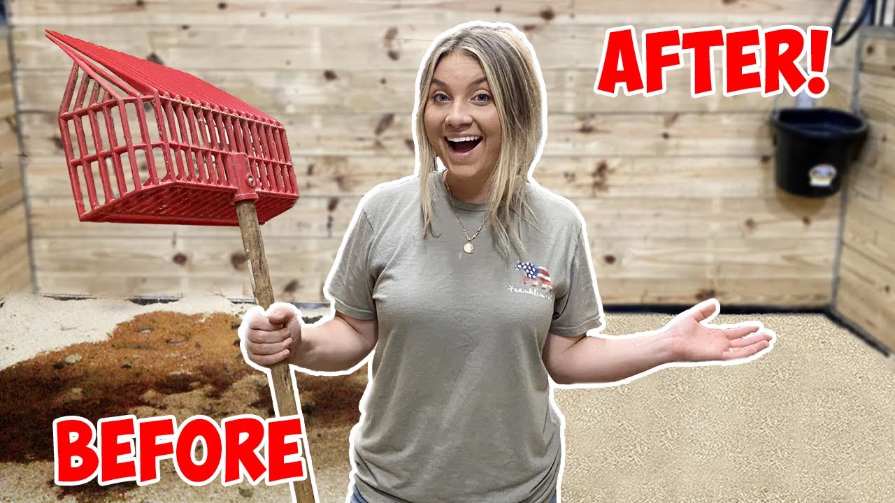 How To Completely Muck Out/Strip My Horse Stalls IN THE NEW BARN! *SO SATISFYING*