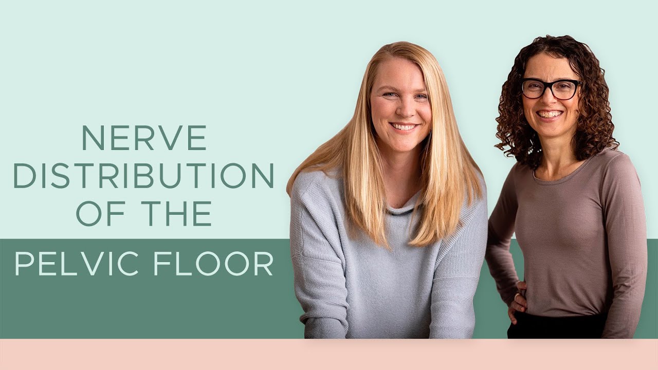 That vulvovaginal redness, itchiness, and discharge may be tight pelvic floor muscles