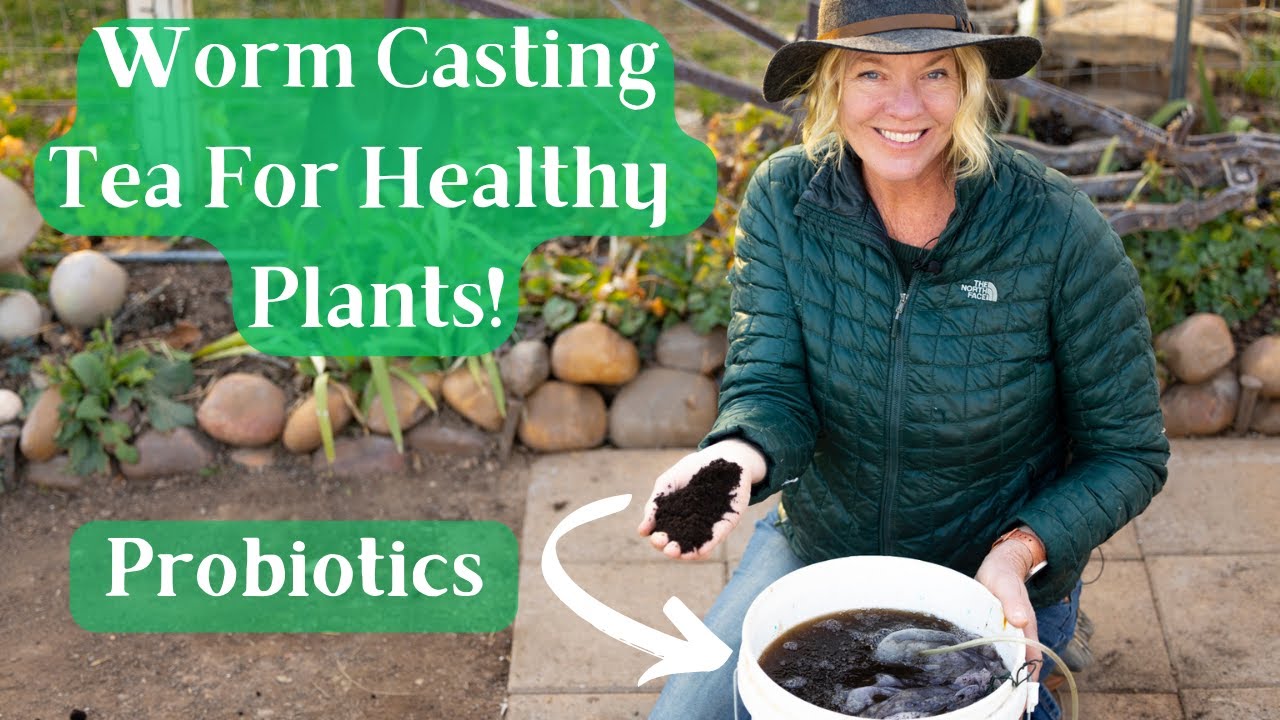 Making Worm Casting Tea & Its Many Uses - Fewer Pests & Disease