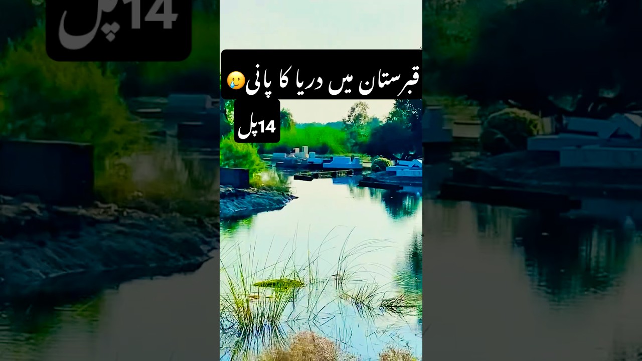 Ravi ka pani Qabaristan main Agya🥲