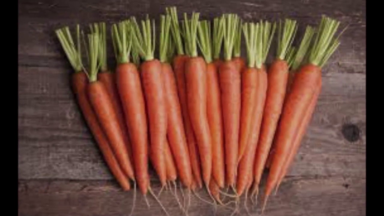 Shamba Shape Up Sn 7 - Ep 22: Carrots, Calf Care, Farm Transport and Energy Saving Jiko (English)