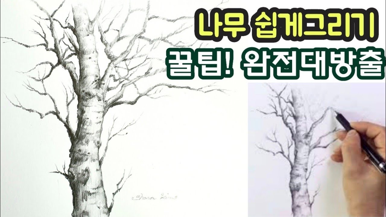 나무 진짜 쉽게 그리는 방법 꿀팁/연필스케치/초보탈출 나무그리기