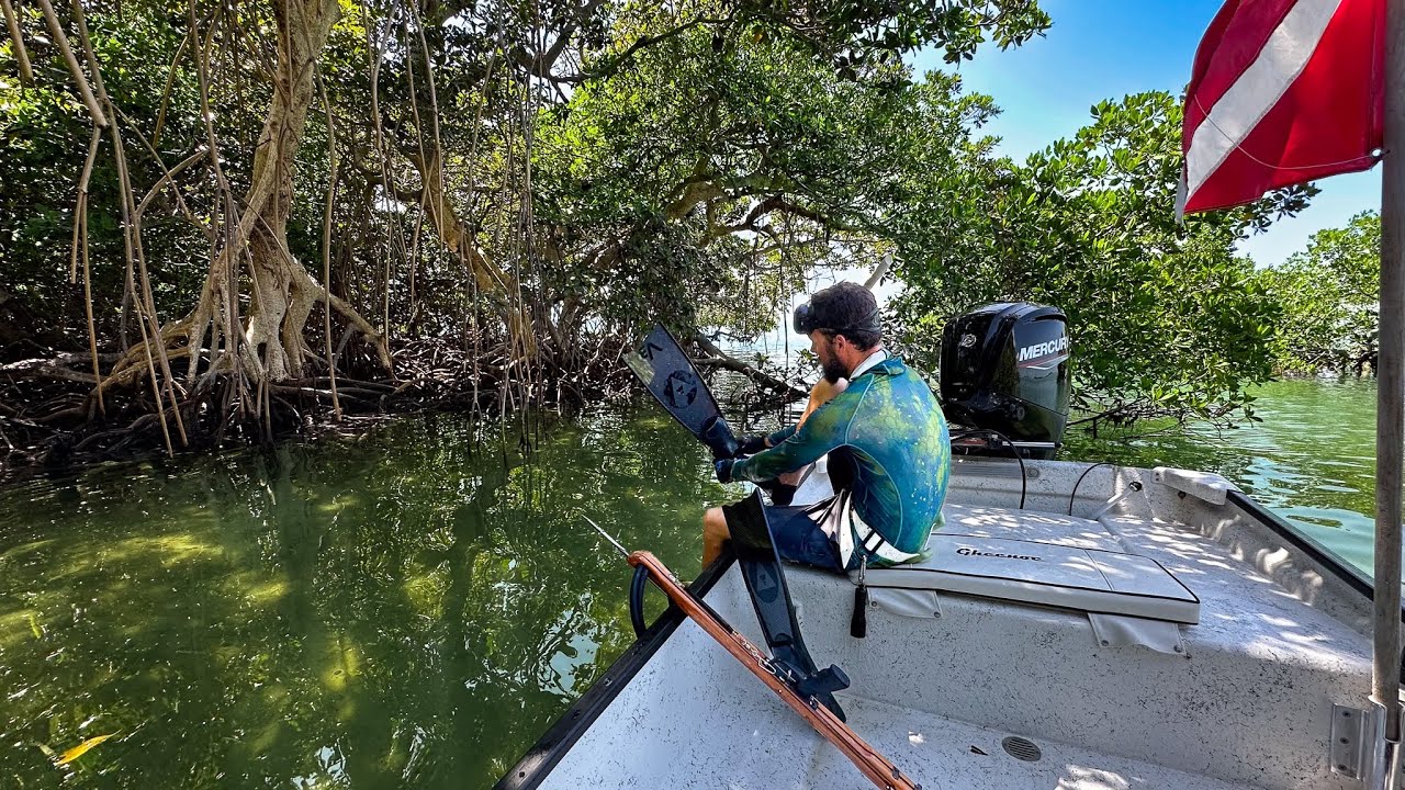 What Makes Me Happy | Harvesting Our Food | Natural Spring - Key West, FL