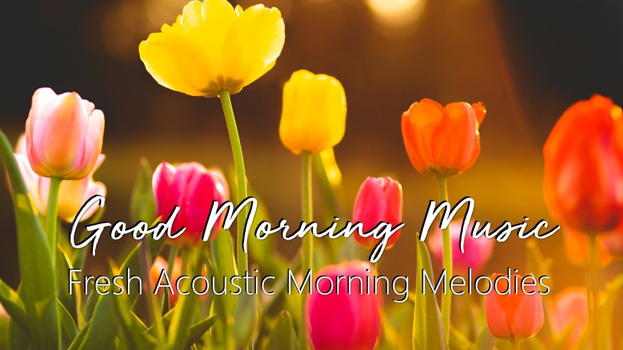 Morning Melodies: Your Daily Dose of Fresh Acoustic Inspiration | Good Morning Music