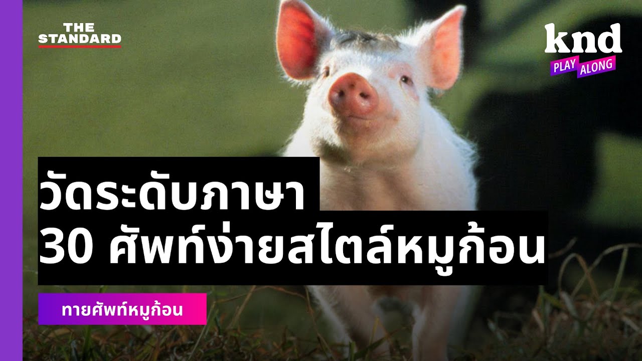 เพิ่มพลังให้คลัง ศัพท์อังกฤษ พลิกแพลงศัพท์ง่ายไปสู่ท่ายาก | คำนี้ดี EP.1093 #ศัพท์หมูก้อน