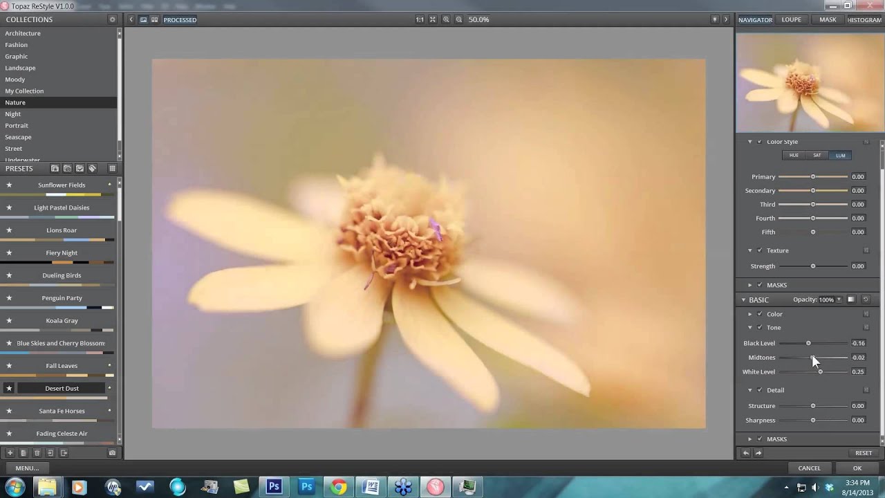 Introduction to the NEW Topaz ReStyle