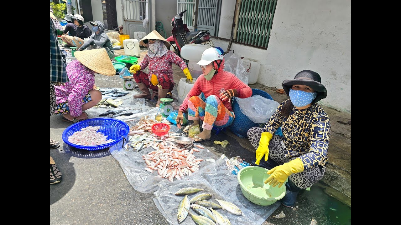 Chợ cá Cẩm Xìn tấp nập bật nhất Phan Thiết, hải sản tươi rói còn đành đạch