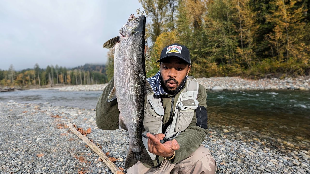 IS IT OK TO KEEP WILD COHO SALMON ON A HATCHERY ONLY RIVER ? | BRITISH COLUMBIA
