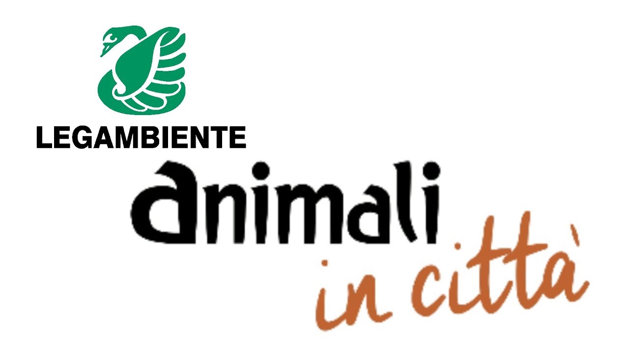 Animali in città  VII rapporto Legambiente