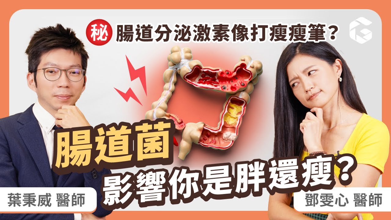 腸道菌影響你是胖還瘦？腸道分泌某激素就像打瘦瘦筆？研究發現：瘦子腸道藏這關鍵！feat.葉秉威醫師｜初日診所鄧雯心醫師 (內有顧腸胃食物圖鑑免費送！常見腸胃道問題 腸腦軸 腸道影響情緒)