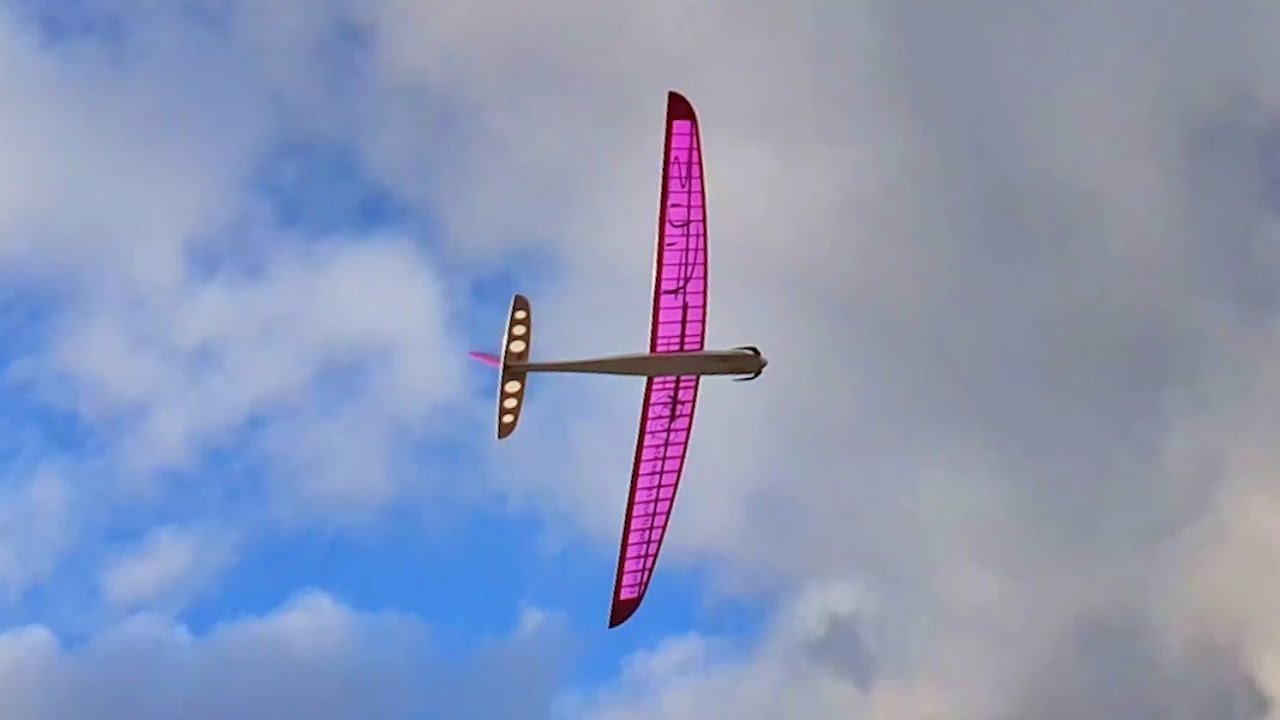 🐦 Fitis am Hang - Tim Weißbach Modellflugzeuge