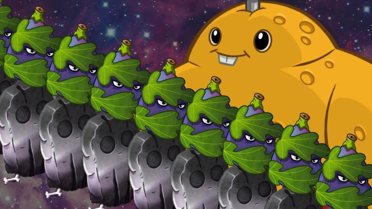 Spudow Fig Wall