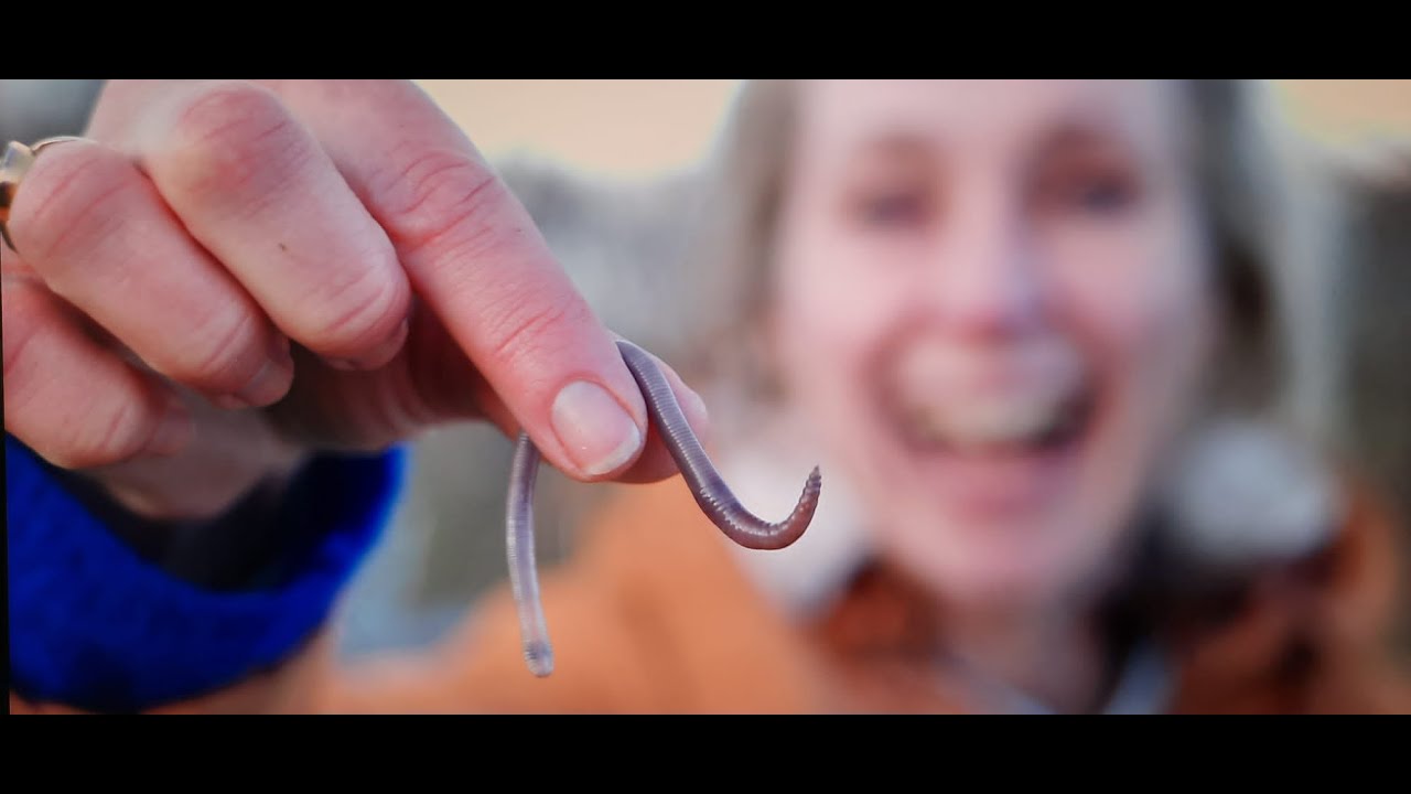 Oogst Crowdfunding: nieuwe winkels in Woerden & Haarlem!