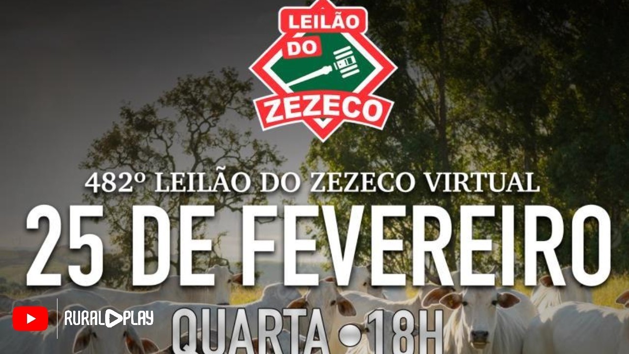 482º LEILÃO DO ZEZECO VIRTUAL - MIRANDA/MS - RURAL PLAY
