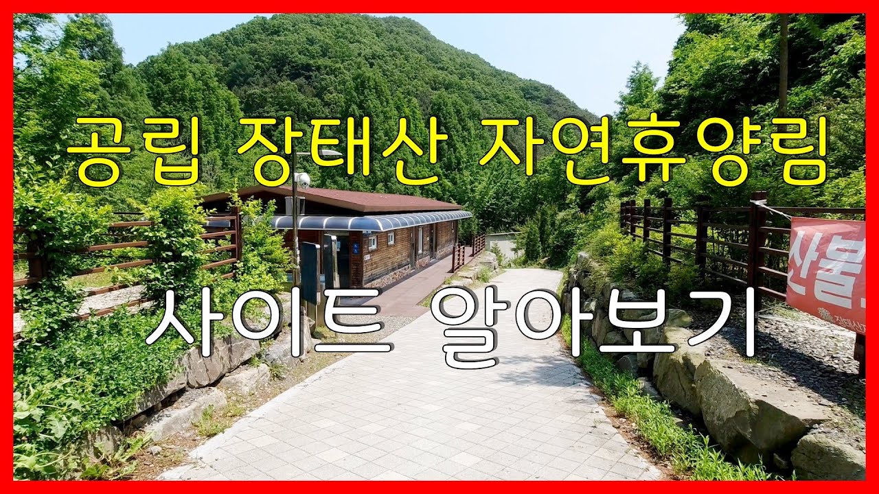 공립 장태산 자연휴양림  야영장 사이트 알아보기
