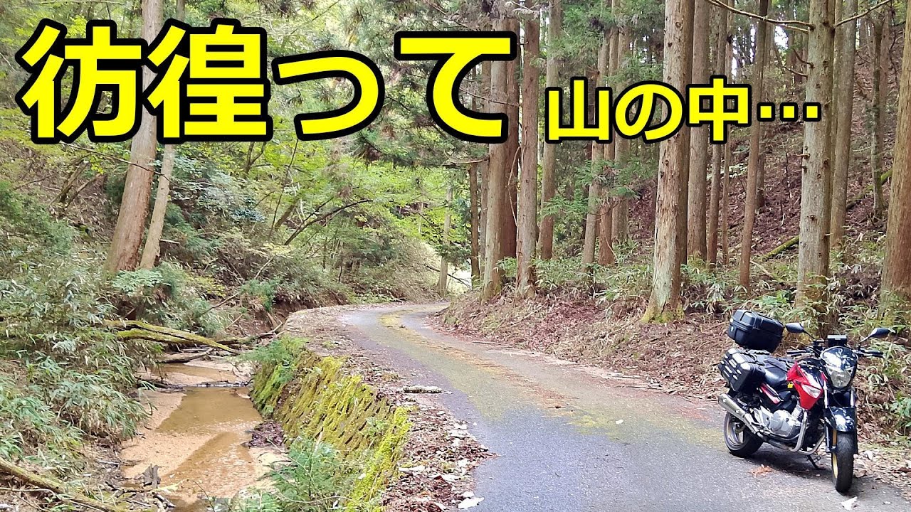 彷徨って 山の中… 【GSR250モトブログ】