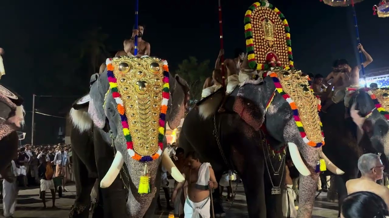 ഗുരുവായൂർ ആറാട്ട് 2026