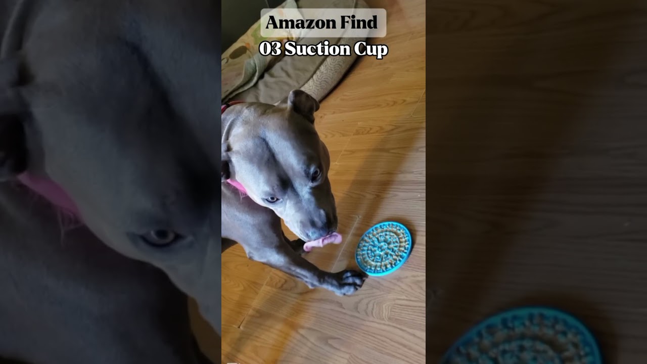 5 UNIQUE Amazon Pet Products 