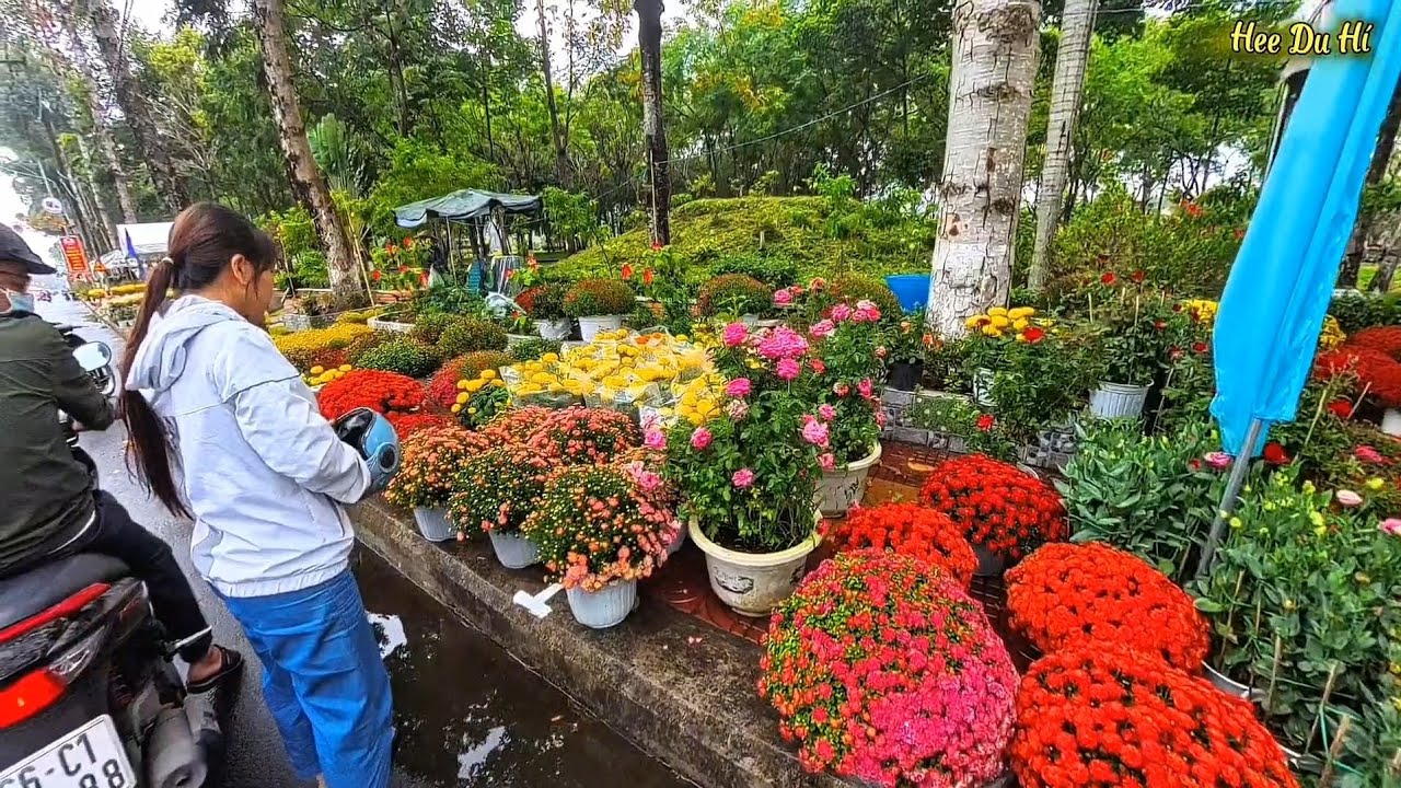 Đường Hoa Tết Tôn Đức Thắng tại Sa Đéc Đồng Tháp không khí ngày Tết 2026 đang đến gần