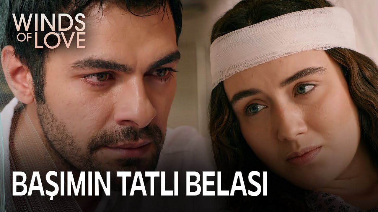 Her şey benim yüzümden oldu! | Rüzgarlı Tepe 101. Bölüm