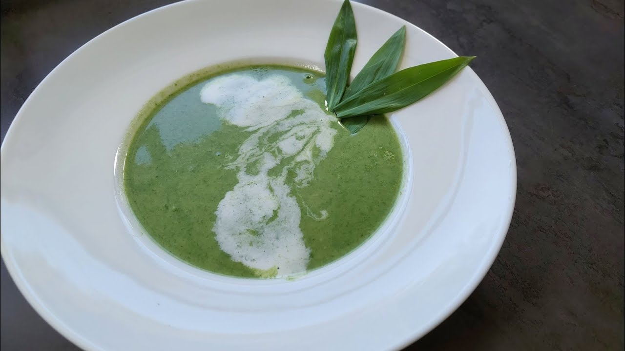 Bärlauchsuppe, der Klassiker in den Frühjahrsmonaten. Die Blätter in der Au selber sammeln. # 101