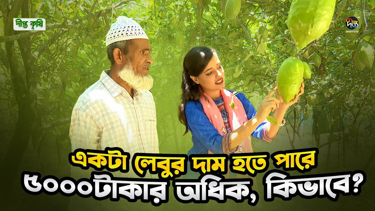 Deepto Krishi l রসনা মাতানো জারা লেবু | Taste the zest of Sylhet – Jara Lemon l EP 1728