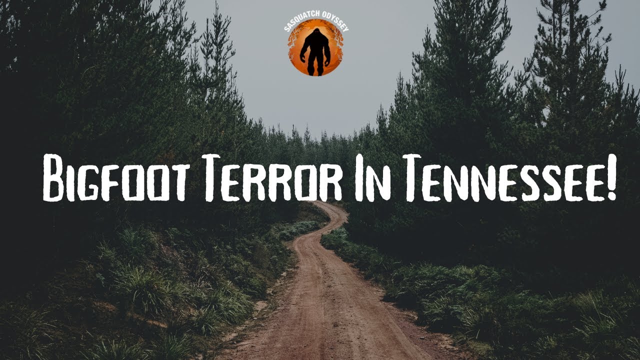 Bigfoot Terror In Tennessee!