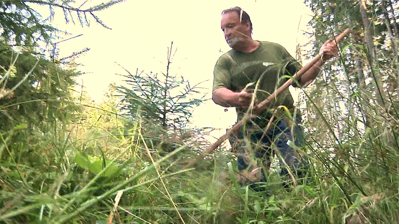 Jak pečovat o les - díl 5. - Ochrana (první část)