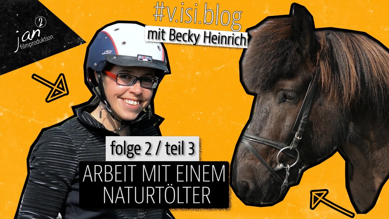 training mit islandpferden #v.isi.blog - folge 2 | arbeit mit einem naturtölter | teil 3