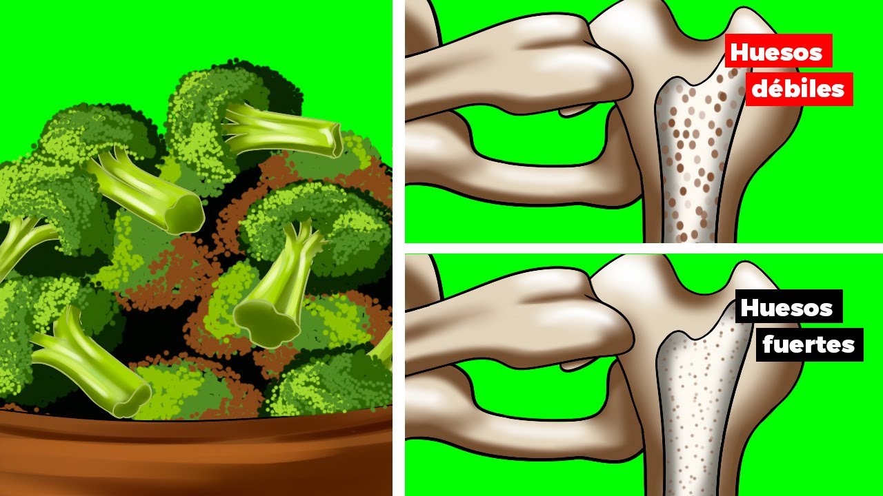 15 alimentos ricos en calcio para HUESOS FUERTES que debes comer todas las semanas