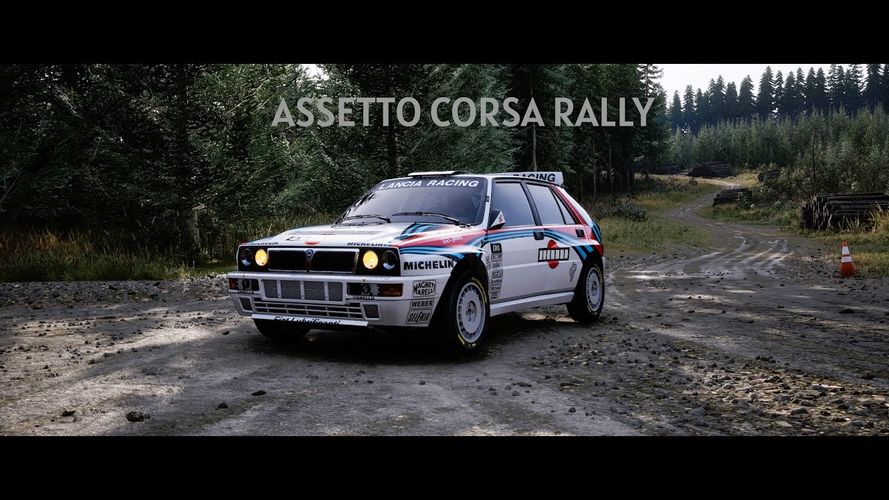 ASSETTO CORSA RALLY